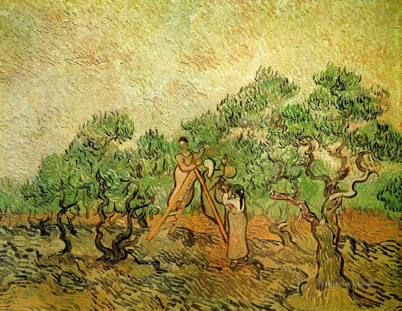 Olive Picking 3 Vincent van Gogh Oil Paintings